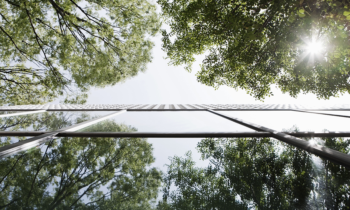 Glass-walled building reflecting trees. This is shoot with a composition to look up from a lower place.