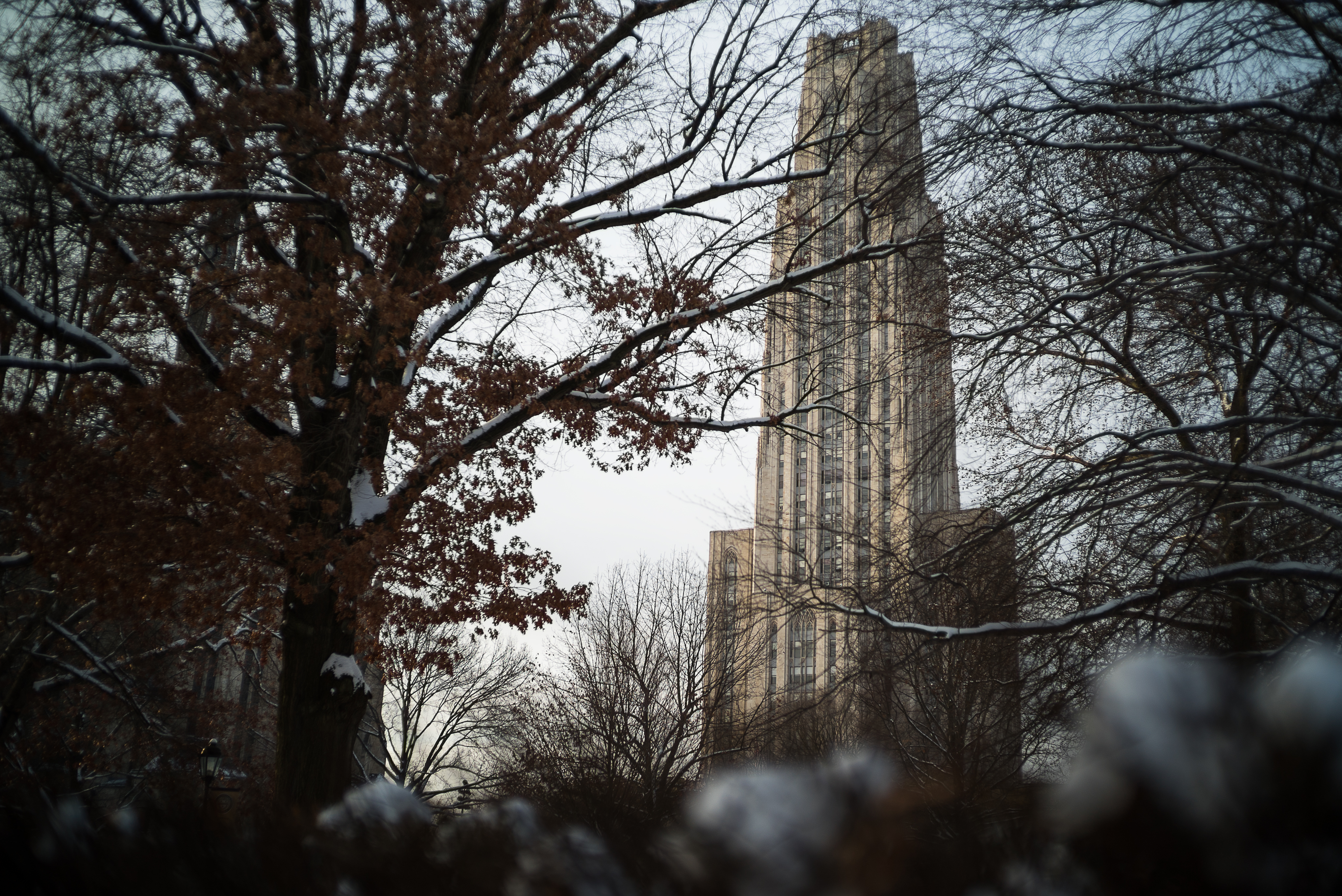Cathedral of Learning in the morning.
Pittsburgh, PA