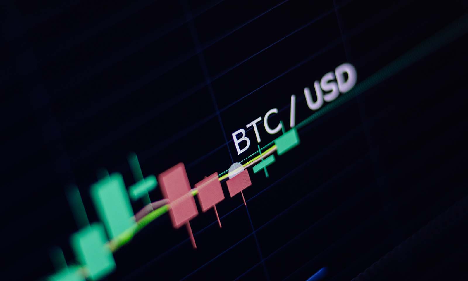 Are Cryptoassets Tulips or Dot-coms?